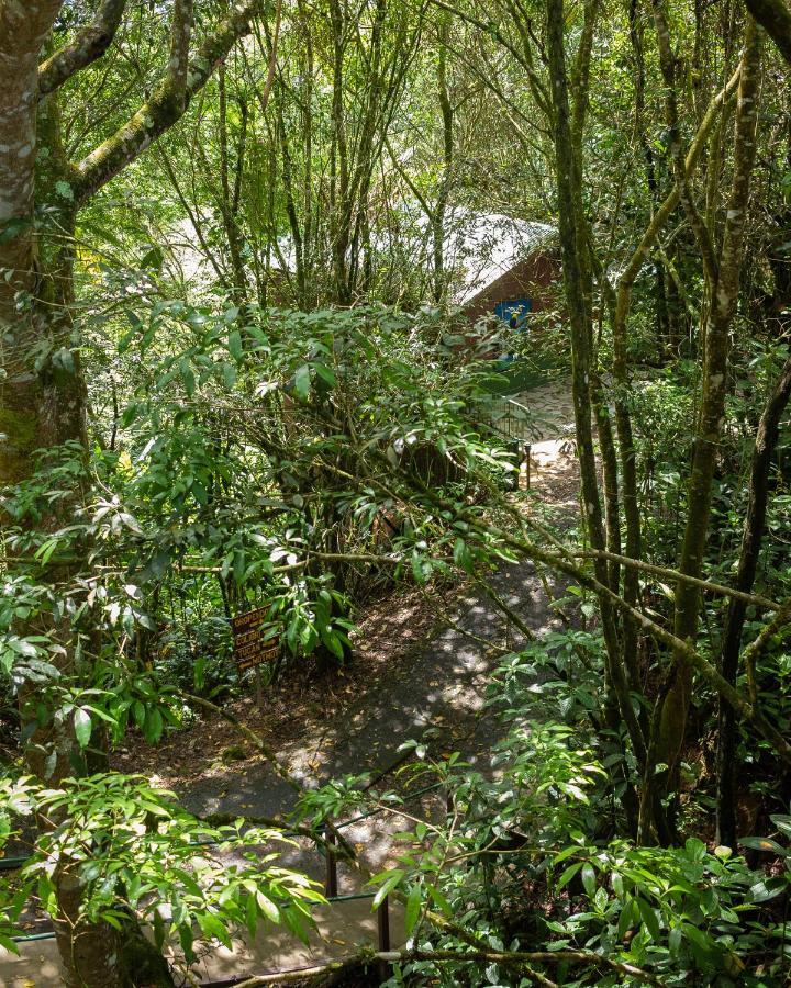 Cabanas El Bosque トゥリアルバ エクステリア 写真